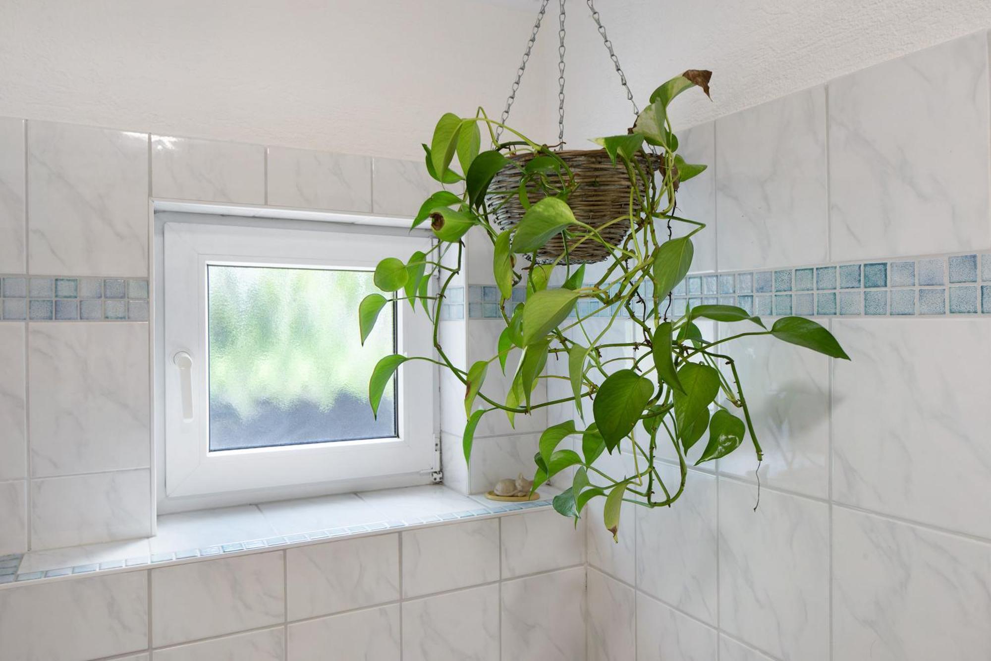 Ferienwohnung Zur Schauinslandbahn Horben エクステリア 写真